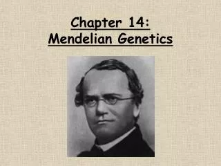 Chapter 14: Mendelian Genetics
