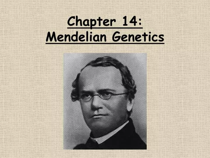 chapter 14 mendelian genetics