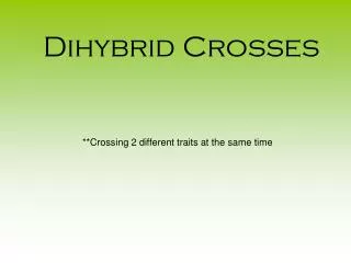 Dihybrid Crosses