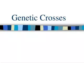 Genetic Crosses