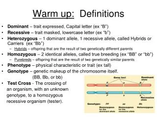 Warm up: Definitions