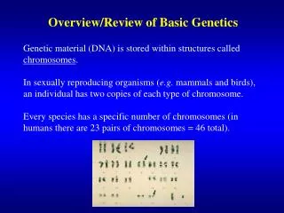 Overview/Review of Basic Genetics