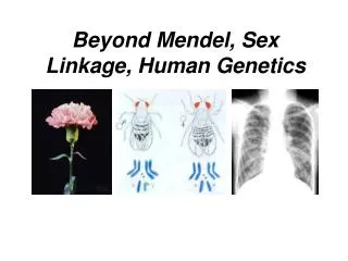 Beyond Mendel, Sex Linkage, Human Genetics