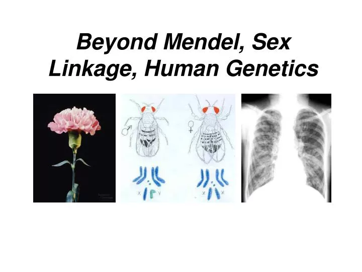 beyond mendel sex linkage human genetics