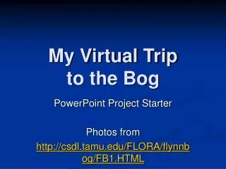 My Virtual Trip to the Bog