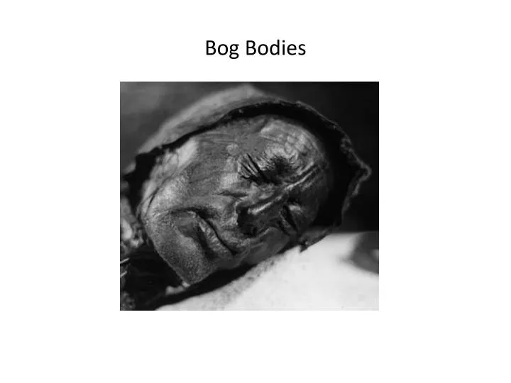 bog bodies
