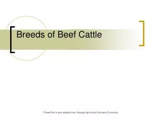 Breeds of Beef Cattle