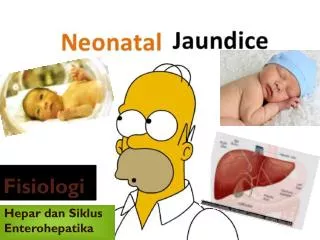 fisiologi