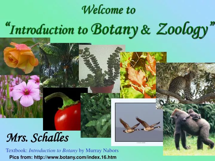 welcome to introduction to botany zoology