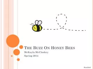 The Buzz On Honey Bee s