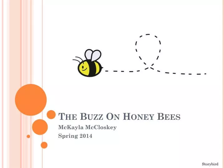 the buzz on honey bee s