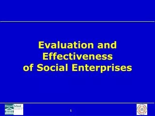 Evaluation and Effectiveness of Social Enterprises