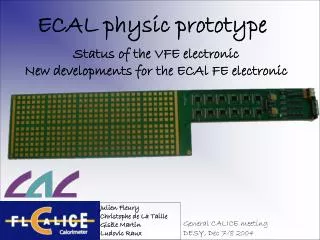 ECAL physic prototype