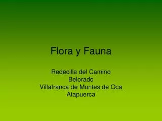 flora y fauna