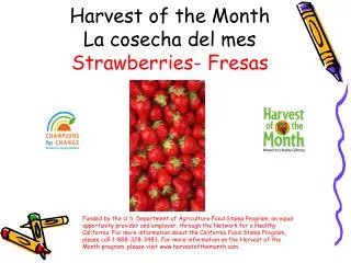 Harvest of the Month La cosecha del mes Strawberries- Fresas