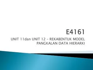 e4161