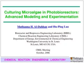 Culturing Microalgae in Photobioreactors: Advanced Modeling and Experimentation