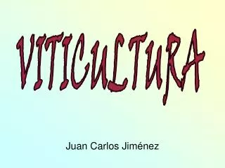 juan carlos jim nez