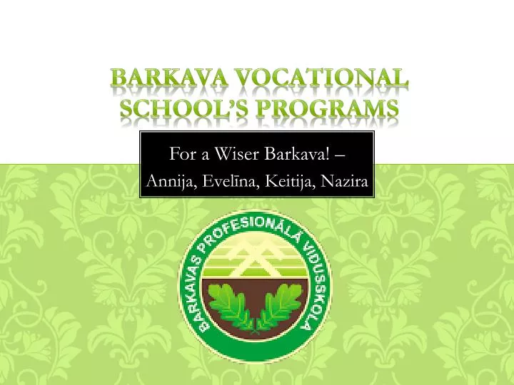 barkava vocational school s programs