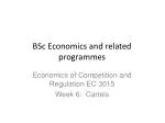 BSc Economics and related programmes - slide 1
