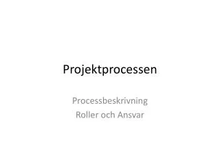 projektprocessen