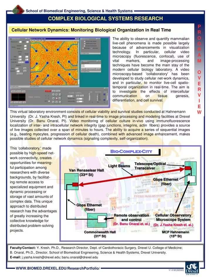 cellular network dynamics monitoring biological organization in real time