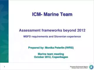 ICM- Marine Team Assessment frameworks beyond 2012 MSFD requirements and Slovenian experience