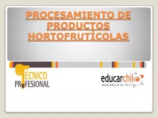 procesamiento de productos hortofrut colas