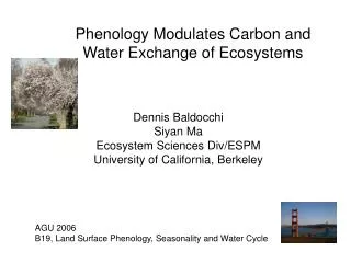Phenology Modulates Carbon and Water Exchange of Ecosystems
