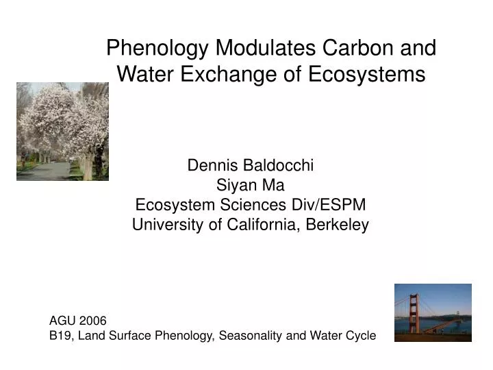 phenology modulates carbon and water exchange of ecosystems