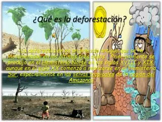 qu es la deforestaci n