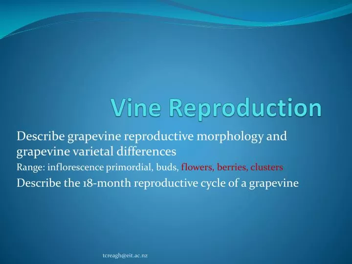 vine reproduction