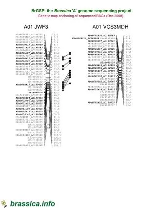 BrGSP: the Brassica 'A' genome sequencing project