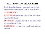 PPT - AMD Genetic Pathogenesis PowerPoint Presentation, Free Download ...