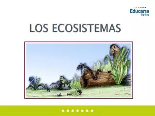 los ecosistemas