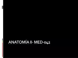 anatom a ii med 042