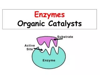 Enzymes are Proteins!