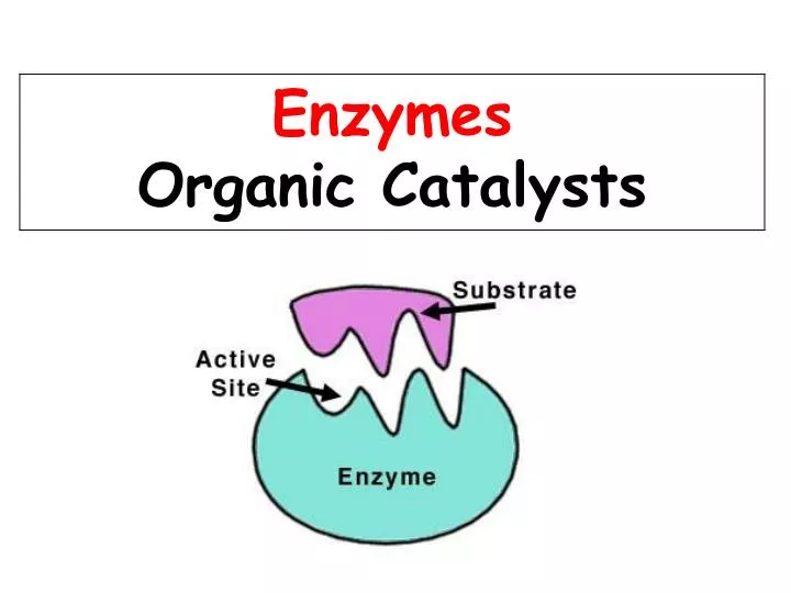 What Is a Catalyst? Understand Catalysis