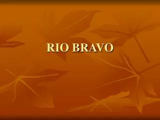 RIO BRAVO