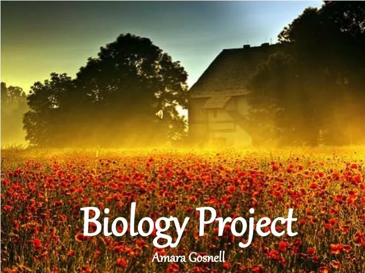 biology project amara gosnell