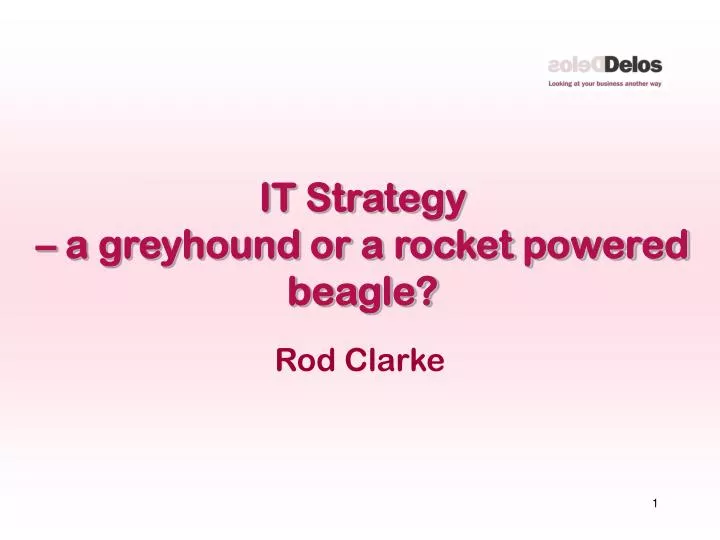 it strategy a greyhound or a rocket powered beagle
