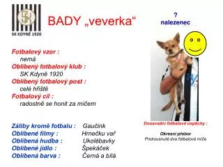 bady veverka