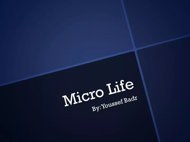 micro life