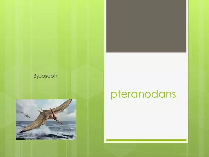 pteranodans