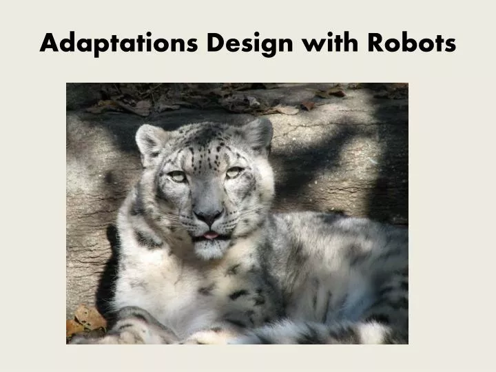 adaptations design with robots