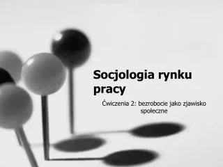 socjologia rynku pracy