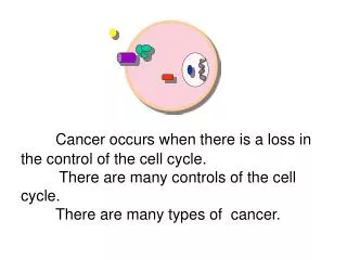 Cancer occurs when there is a loss in the control of the cell cycle.