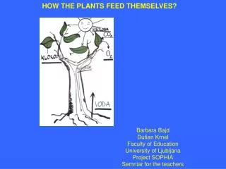 HOW THE PLANTS FEED THEMSELVES?