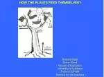 HOW THE PLANTS FEED THEMSELVES? - slide 1