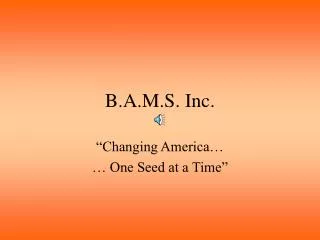 B.A.M.S. Inc.